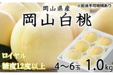 桃 2025年 先行予約 岡山 白桃 ロイヤル 4～6玉 約1kg JAおかやまのもも（早生種・中生種） もも モモ 岡山県産 国産 フルーツ 果物 ギフト [№5735-1222]