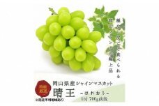 ぶどう 2025年 先行予約 シャイン マスカット 晴王 1房 700g前後 ブドウ 葡萄  岡山県産 国産 フルーツ 果物 ギフト [№5735-1228]