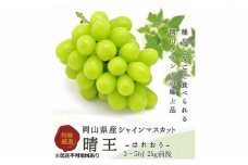 ぶどう 2025年 先行予約 シャイン マスカット 晴王 3～5房 2kg前後 （8月上旬～9月下旬発送分） ブドウ 葡萄  岡山県産 国産 フルーツ 果物 ギフト [№5735-1231]