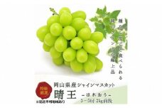 ぶどう 2025年 先行予約 シャイン マスカット 晴王 3～5房 2kg前後 （10月上旬～11月下旬発送分） ブドウ 葡萄  岡山県産 国産 フルーツ 果物 ギフト [№5735-1232]