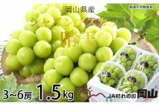 ぶどう 2025年 先行予約 シャイン マスカット 晴王 3房～6房 約1.5kg 7月上旬～8月中旬発送 ブドウ 葡萄  岡山県産 国産 フルーツ 果物 ギフト [№5735-1237]