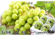 ぶどう 2025年 先行予約 シャイン マスカット 晴王 3房～6房 約2kg 7月上旬～8月中旬発送 ブドウ 葡萄  岡山県産 国産 フルーツ 果物 ギフト [№5735-1236]
