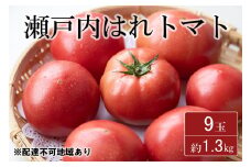 期間限定【産地直送】瀬戸内はれトマト（桃太郎トマト）9玉 約1.3kg 野菜 夏野菜 リコピン 岡山県産 サラダ 料理 緑黄色野菜 [№5735-1272]