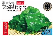風味豊かな 瀬戸内 わかめ 22g×9袋 エビス水産【岡山 瀬戸内海 天然 カットわかめ】 [№5735-1278]