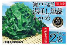 湯通し塩蔵 瀬戸内 わかめ 500g×2袋【岡山 瀬戸内海 天然 塩蔵】 [№5735-1280]