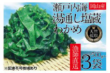 湯通し塩蔵 瀬戸内 わかめ 500g×3袋【岡山 瀬戸内海 天然 塩蔵】 [№5735-1281]