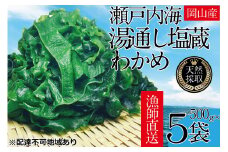 湯通し塩蔵 瀬戸内 わかめ 500g×5袋【岡山 瀬戸内海 天然 塩蔵】 [№5735-1283]
