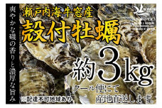 先行予約 2023年2月以降順次発送 殻付 牡蠣 約3kg エビス水産  洗浄済 瀬戸内牛窓産 岡山県 ※加熱調理用 [№5735-1304]