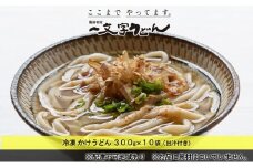 冷凍 かけ うどん 300g×10袋（出汁300g×10袋つき）備前福岡 一文字うどん [№5735-1316]