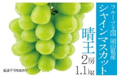 ぶどう2025年 先行予約 シャイン マスカット 晴王 2房（合計約1.1kg） 晴れの国 おかやま 岡山県産 フルーツ王国 果物王国[№5735-1306]