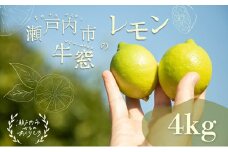 瀬戸内 牛窓産 レモン 約4kg（1果 100g前後）[№5735-1307]