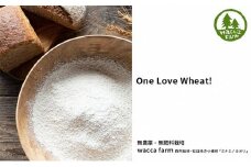瀬戸内自然栽培・石臼挽き小麦粉「ミナミノカオリ」2kg [№5735-1419]