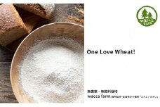 瀬戸内自然栽培・石臼挽き小麦粉「ミナミノカオリ」5kg [№5735-1420]