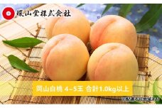 桃 2025年 先行予約 岡山 白桃 4～5玉 合計1.0kg以上 もも モモ 岡山県産 国産 フルーツ 果物 ギフト 環山堂 [№5735-1421]