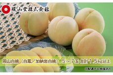 桃 2026年 先行予約 岡山 白桃（品種：白鳳／加納岩白桃）5～7玉 合計1.5kg以上 もも モモ 岡山県産 国産 フルーツ 果物 ギフト 環山堂 直射日光 有袋栽培 上品 甘み 香り 豊か とろける 果汁 贈り物  [№5735-1423]
