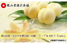 桃 2025年 先行予約 岡山 白桃（品種：おかやま夢白桃／白麗）5～7玉 合計1.5kg以上 もも モモ 岡山県産 国産 フルーツ 果物 ギフト 環山堂 [№5735-1424]