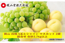 桃 ぶどう 2025年 先行予約 岡山 白桃 5玉とシャイン マスカット 2房 詰合せ 合計2.7kg以上 もも 葡萄 岡山県産 国産 フルーツ 果物 ギフト 環山堂 [№5735-1426]