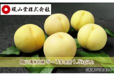 桃 2026年 先行予約 岡山 清水 白桃 5～7玉 合計1.5kg以上  もも モモ 岡山県産 国産 フルーツ 果物 ギフト 環山堂 直射日光 有袋栽培 皮が薄い 上品 甘み 香り 希少 クリーミー 果汁 贈り物  [№5735-1425]