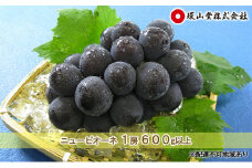 ぶどう 2025年 先行予約 ニュー ピオーネ 1房 600g以上 ブドウ 葡萄  岡山県産 国産 フルーツ 果物 ギフト 環山堂 [№5735-1430]