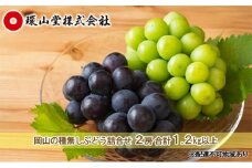 ぶどう 2025年 先行予約 種無し ぶどう 詰合せ 2房 合計1.2kg以上 マスカット ブドウ 葡萄  岡山県産 国産 フルーツ 果物 ギフト 環山堂 [№5735-1429]