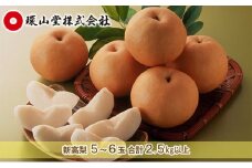 梨 2025年 先行予約 新高 梨 5～6玉 合計2.5kg以上 なし ナシ 岡山県産 国産 フルーツ 果物 ギフト 環山堂 [№5735-1433]