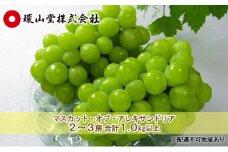 ぶどう 2025年 先行予約 マスカット・オブ・アレキサンドリア 2～3房 合計1.0kg以上 マスカット ブドウ 葡萄  岡山県産 国産 フルーツ 果物 ギフト 環山堂 [№5735-1432]