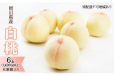 桃 2026年 先行予約 白桃 6玉（1玉300g以上）化粧箱入り もも モモ 岡山県産 国産 フルーツ 果物 ギフト 透き通る 白い 柔らかい 果汁 きめ細やか 恵み 知恵 情熱 贈り物  [№5735-1442]