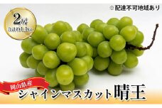 ぶどう 2025年 先行予約 シャイン マスカット 晴王 2房 （合計約1.1kg） 化粧箱入り マスカット ブドウ 葡萄  岡山県産 国産 フルーツ 果物 ギフト [№5735-1443]