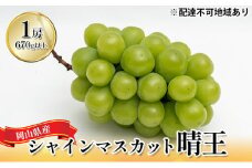 ぶどう 2025年 先行予約 シャイン マスカット 晴王 1房 （1房670g以上） 化粧箱入り マスカット ブドウ 葡萄  岡山県産 国産 フルーツ 果物 ギフト [№5735-1444]
