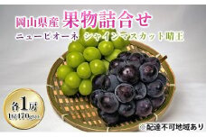 ぶどう 2025年 先行予約 詰め合わせ ニュー ピオーネ 1房 (1房470g以上)  シャイン マスカット 晴王 1房 (1房470g以上) 化粧箱入り 岡山県産 国産 フルーツ ギフト  [№5735-1445]