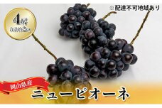 ぶどう 2025年 先行予約 ニュー ピオーネ 4房（合計約2kg） ブドウ 葡萄  岡山県産 国産 フルーツ 果物 ギフト  [№5735-1446]