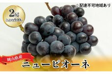 ぶどう 2025年 先行予約 ニュー ピオーネ 2房（合計約940g）化粧箱入り ブドウ 葡萄  岡山県産 国産 フルーツ 果物 ギフト  [№5735-1447]