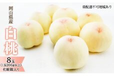 桃 2025年 先行予約 白桃 8玉（1玉200g以上）化粧箱入り もも モモ 岡山県産 国産 フルーツ 果物 ギフト [№5735-1449]