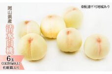 桃 2025年 先行予約 清水 白桃 6玉 （1玉250g以上）化粧箱入り もも モモ 岡山県産 国産 フルーツ 果物 ギフト [№5735-1452]