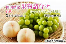 桃 ぶどう 2026年 先行予約 果物詰合せ 白桃 2玉 (1玉200g以上)  シャイン マスカット 晴王 2房 (合計約940g) 化粧箱入り 岡山県産 国産 フルーツ 果物 ギフト  [№5735-1451]