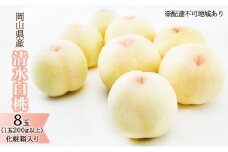桃 2025年 先行予約 清水 白桃 8玉（1玉200g以上）化粧箱入り もも モモ 岡山県産 国産 フルーツ 果物 ギフト [№5735-1454]