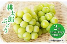 ぶどう 2025年 先行予約 桃太郎 ぶどう 2房（合計約940g）化粧箱入り マスカット ブドウ 葡萄  岡山県産 国産 フルーツ 果物 ギフト [№5735-1458]