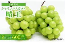 ぶどう 2025年 先行予約 シャイン マスカット 晴王 2房 （1房 600g以上） 化粧箱入り マスカット ブドウ 葡萄  岡山県産 国産 フルーツ 果物 ギフト [№5735-1461]