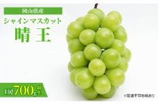 ぶどう 2025年 先行予約 シャイン マスカット 晴王 1房 700g以上 化粧箱入り マスカット ブドウ 葡萄  岡山県産 国産 フルーツ 果物 ギフト [№5735-1462]