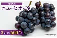 ぶどう 2025年 先行予約 ニュー ピオーネ 2房（1房600g以上）化粧箱入り ブドウ 葡萄  岡山県産 国産 フルーツ 果物 ギフト [№5735-1465]