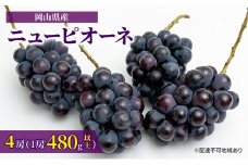 ぶどう 2025年 先行予約 ニュー ピオーネ 4房（1房480g以上）約2kg ブドウ 葡萄  岡山県産 国産 フルーツ 果物 ギフト [№5735-1463]