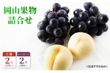 桃 ぶどう 2025年 先行予約 果物 詰合せ 白桃 2玉（1玉220g以上）ニューピオーネ 2房（1房480g以上）化粧箱入り もも 葡萄 岡山県産 国産 フルーツ 果物 ギフト [№5735-1468]