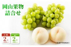 桃 ぶどう 2025年 先行予約 果物 詰合せ 白桃 2玉（1玉220g以上）シャインマスカット 晴王 2房（1房480g以上）化粧箱入り 岡山県産 国産 フルーツ ギフト [№5735-1469]