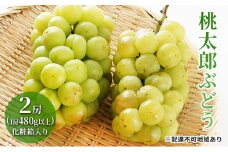 ぶどう 2025年 先行予約 桃太郎 ぶどう 2房（1房480g以上）化粧箱入り ブドウ 葡萄  岡山県産 国産 フルーツ 果物 ギフト [№5735-1472]