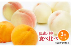桃 定期便 2025年 先行予約 岡山 の 桃 食べ比べ 3回コース もも モモ 岡山県産 国産 フルーツ 果物 ギフト [№5735-1479]
