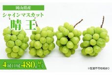 ぶどう 2025年 先行予約 シャイン マスカット 晴王 4房（1房480g以上）約2kg マスカット 岡山県産 国産 フルーツ 果物 ギフト [№5735-1480]