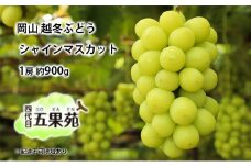 越冬 ぶどう シャイン マスカット 1房 約900g  岡山県産 四代目 五果苑 [№5735-1490]