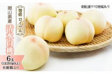 桃 2025年 先行予約 清水 白桃 6玉 （1玉250g以上） 等級：ロイヤル 化粧箱入り もも モモ 岡山県産 国産 フルーツ 果物 ギフト [№5735-1571]