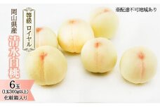桃 2025年 先行予約 清水 白桃 6玉 （1玉300g以上） 等級：ロイヤル 化粧箱入り もも モモ 岡山県産 国産 フルーツ 果物 ギフト [№5735-1570]