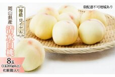 桃 2025年 先行予約 清水 白桃 8玉 （1玉200g以上） 等級：ロイヤル 化粧箱入り もも モモ 岡山県産 国産 フルーツ 果物 ギフト [№5735-1572]